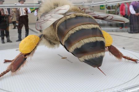 Čebela velikanka potuje po Kamniku (20)